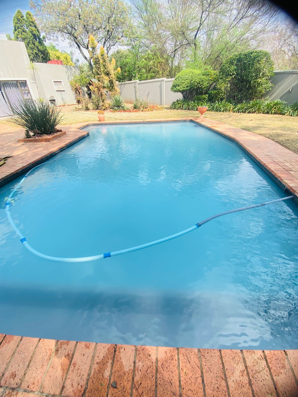 Restored Pool After
