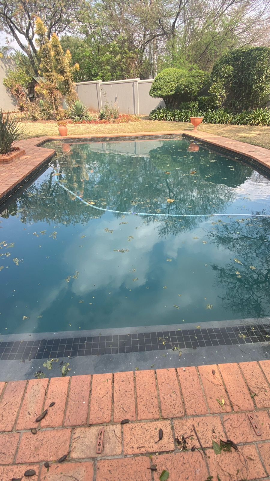 Dirty Pool Before Restoration