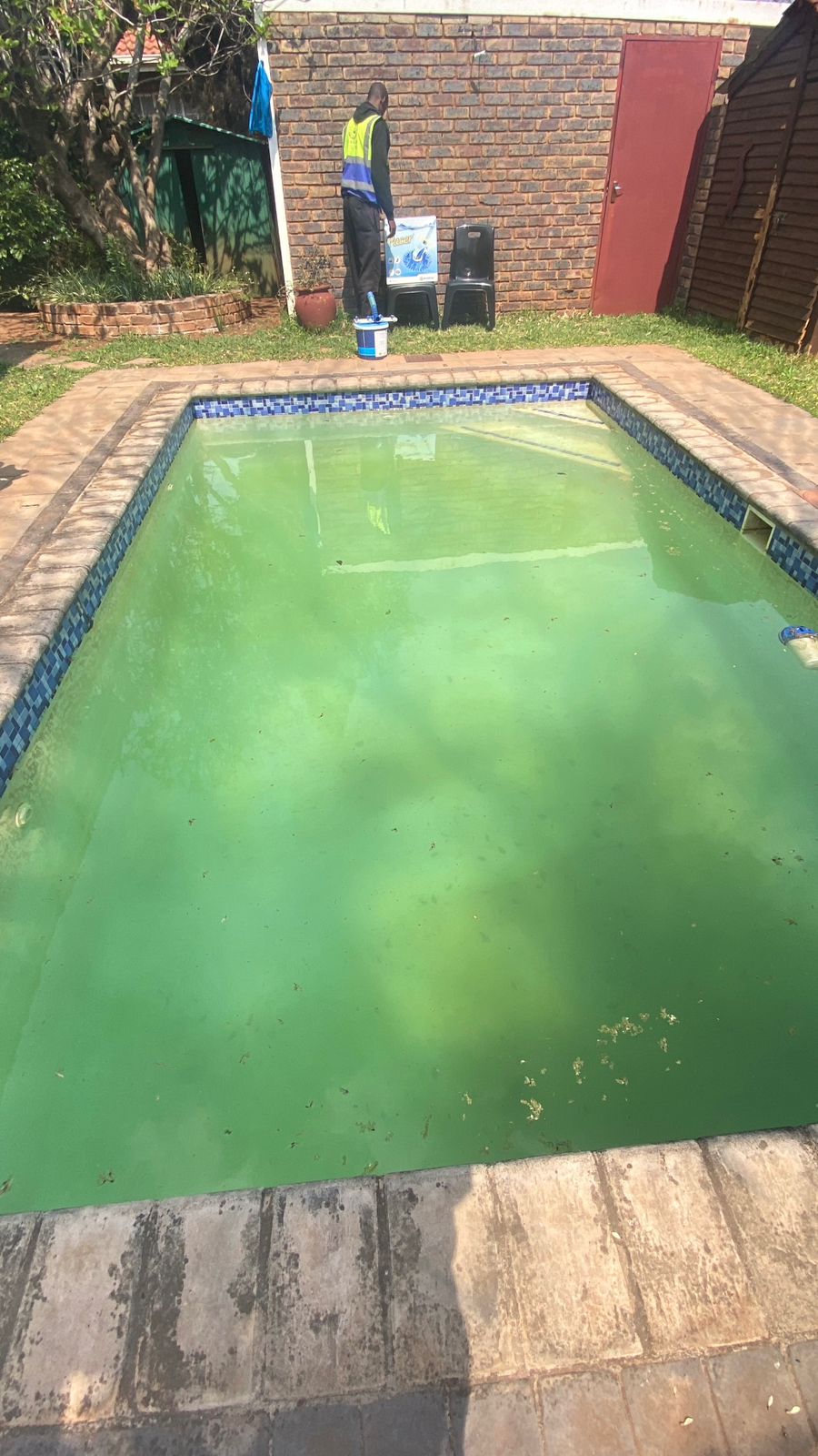 Dirty Pool Before Restoration