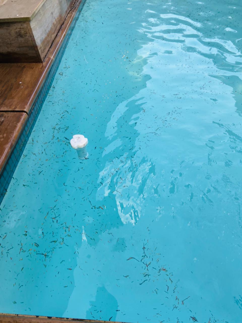 Dirty Pool Before