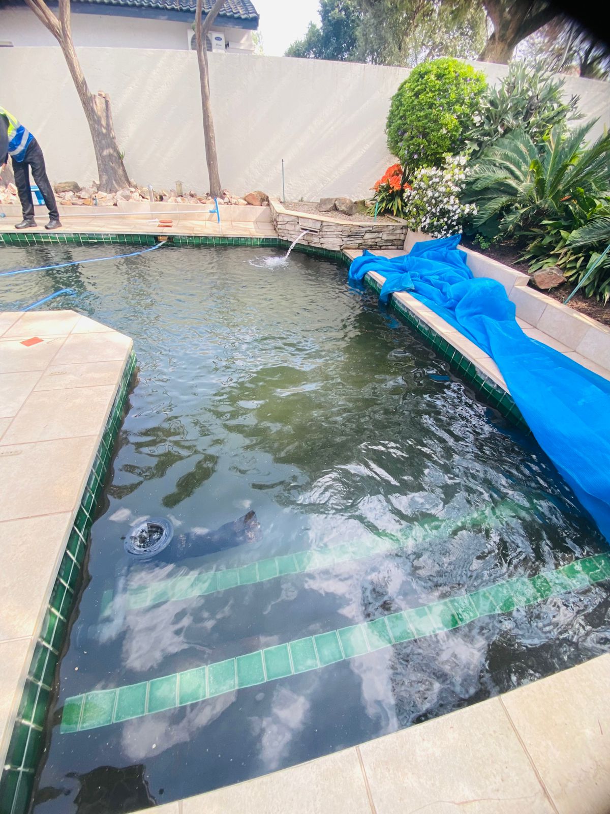 Pool Restoration in Progress