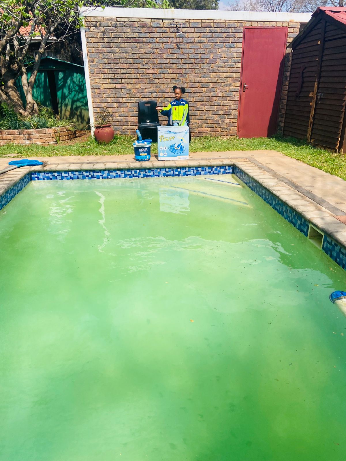 Pool Cleaning in Progress